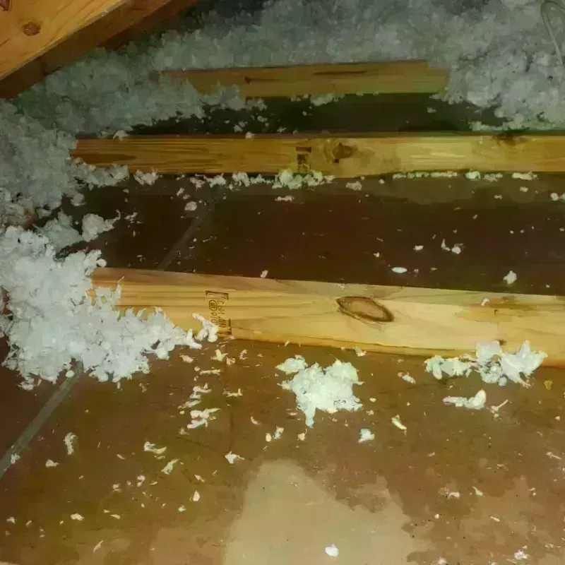 Attic Water Damage in Blennerhassett, WV